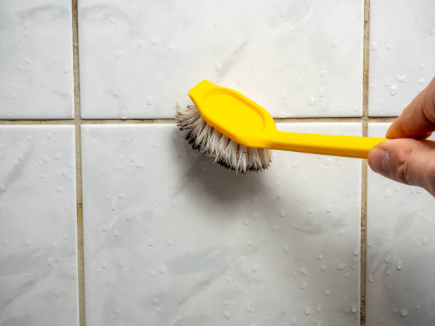 Best Black Mold Removal  in Loch Lomond, VA