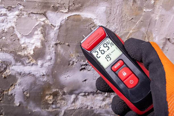 Best Crawl Space Mold Removal  in Loch Lomond, VA