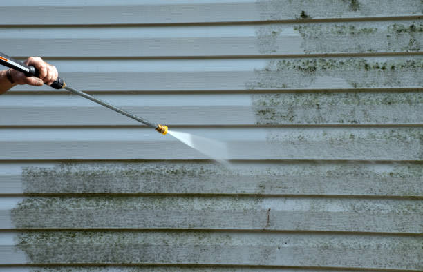 Best Professional Mold Removal  in Loch Lomond, VA