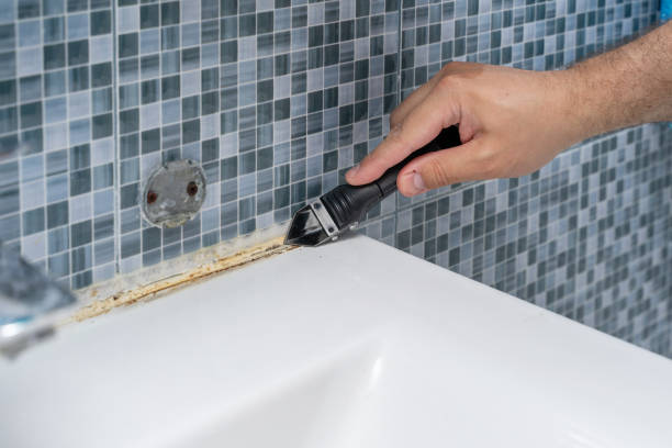 Best Mold Remediation Services  in Loch Lomond, VA